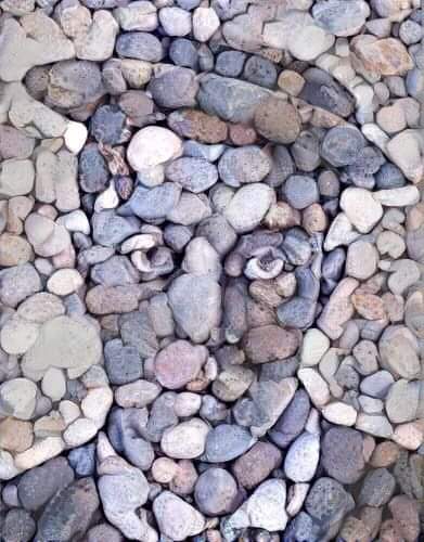 ���� ���� ������ �� ���� ������