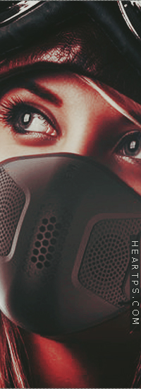 ���� ���� ������ �� ���� ������