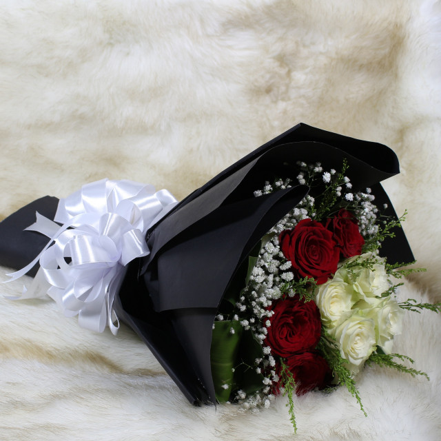 ���� ���� ������ �� ���� ������