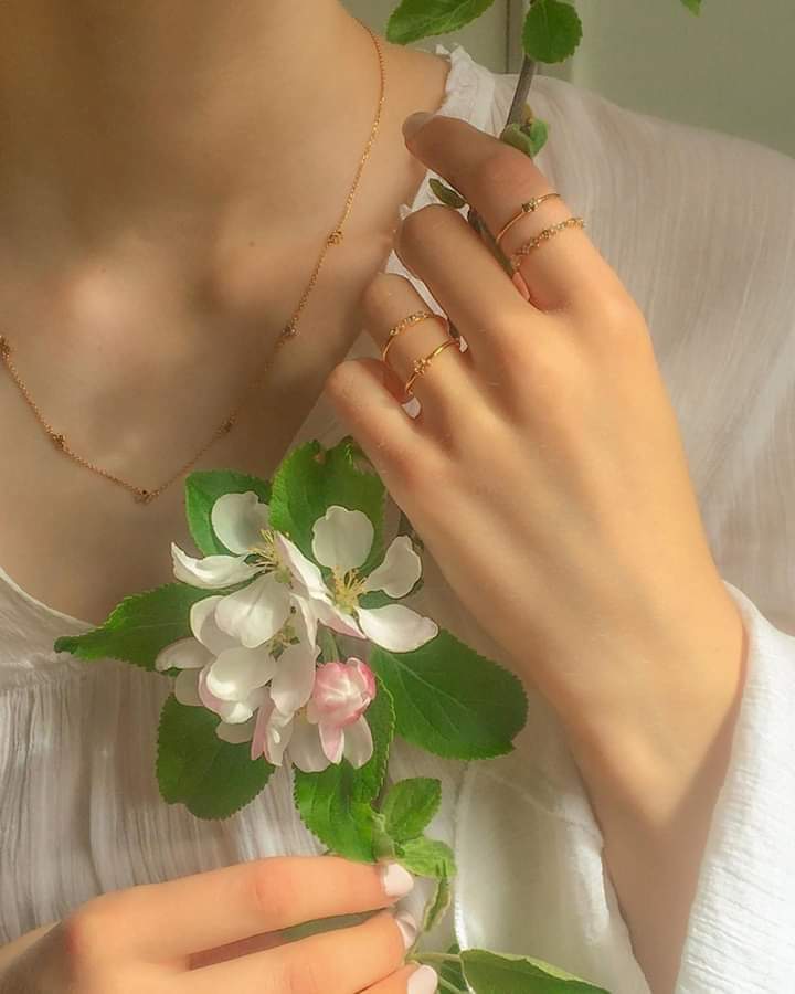 ���� ���� ������ �� ���� ������