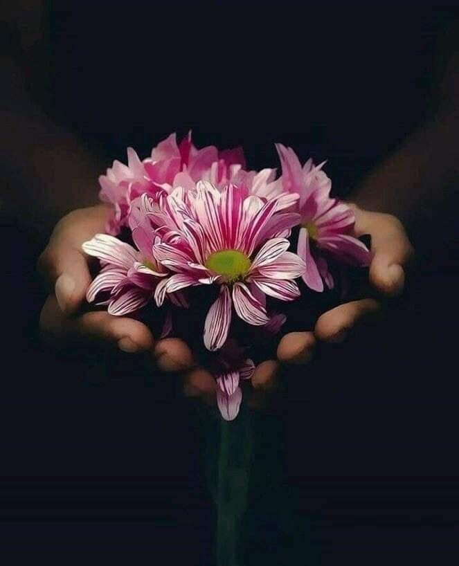 ���� ���� ������ �� ���� ������