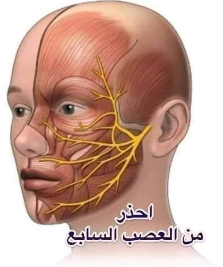 ���� ���� ������ �� ���� ������