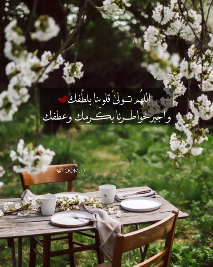 ���� ���� ������ �� ���� ������