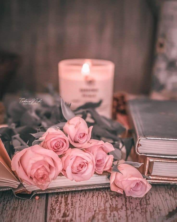 ���� ���� ������ �� ���� ������