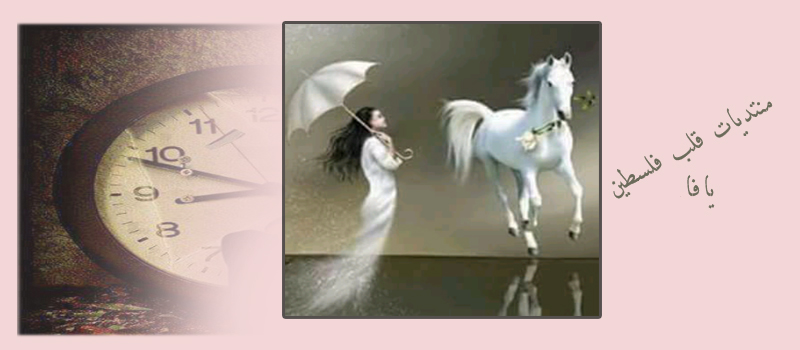 ���� ���� ������ �� ���� ������