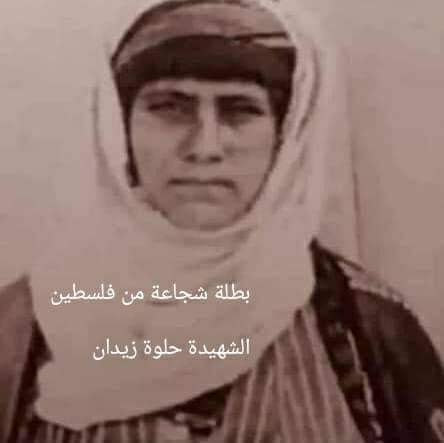 ���� ���� ������ �� ���� ������