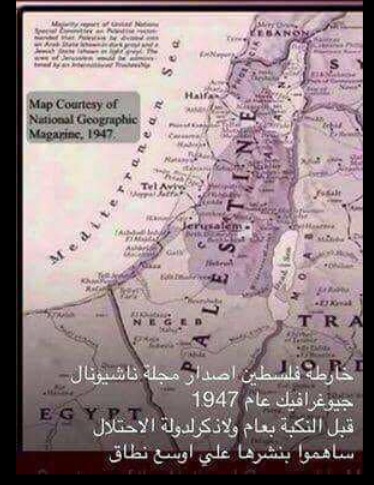 هذا جزء من تاريخ ارض بلادي (فلسطين) P_1962pkg8v1