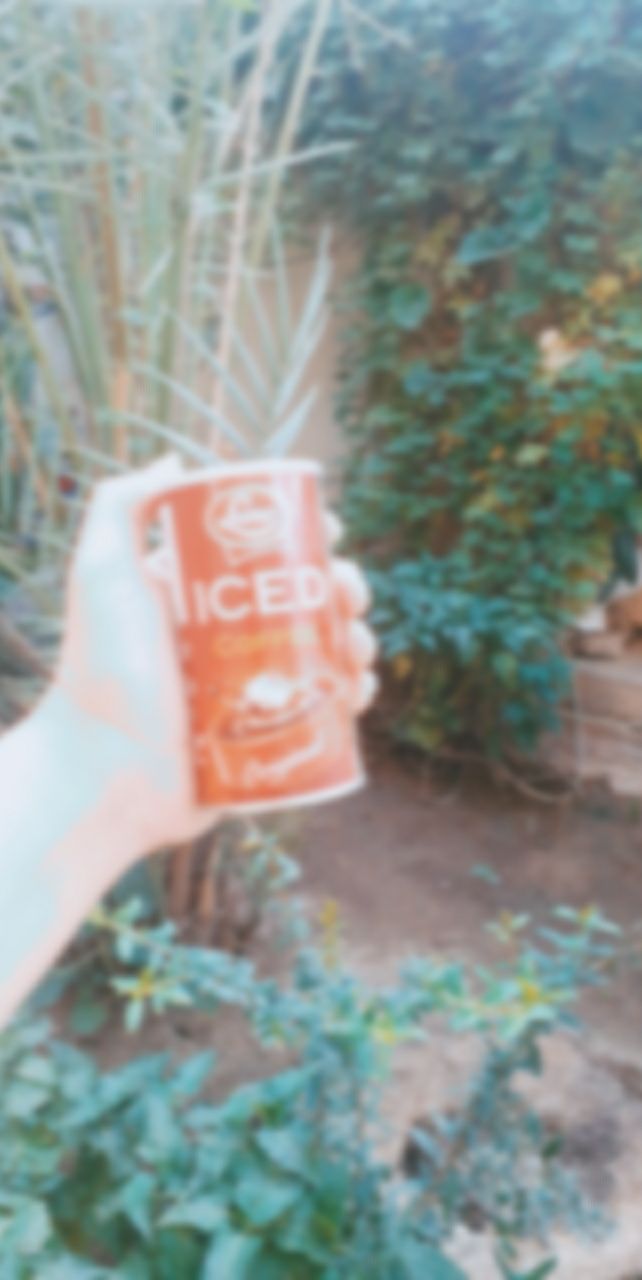 p_20581imjy0.jpg