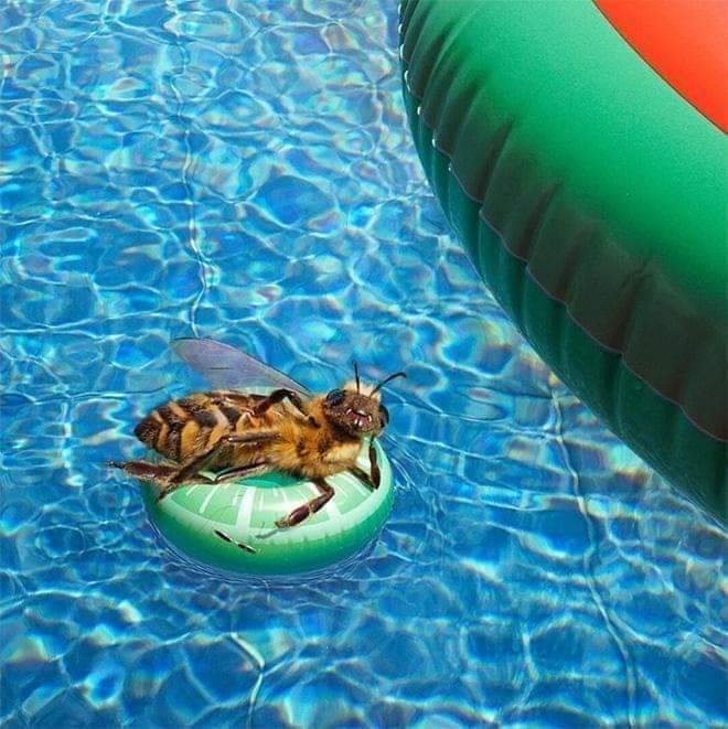 ���� ���� ������ �� ���� ������