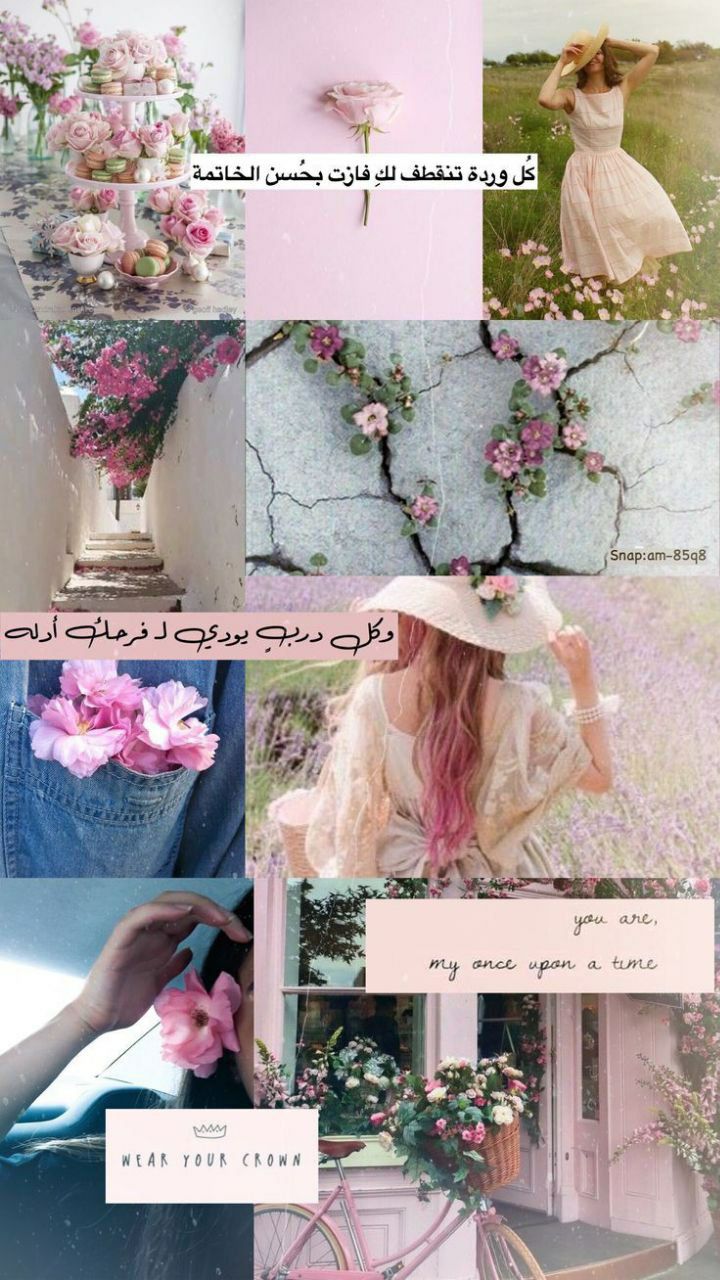 ���� ���� ������ �� ���� ������