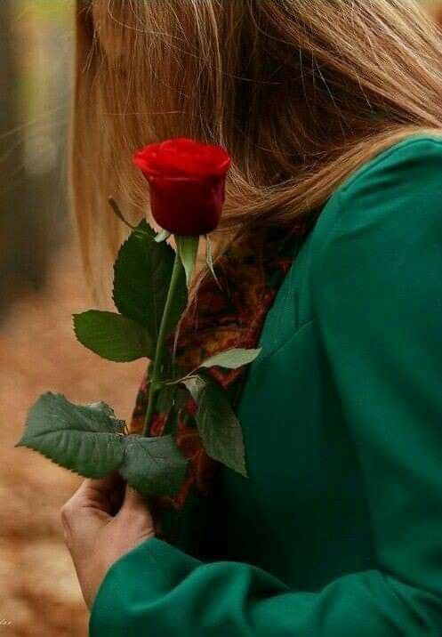 ���� ���� ������ �� ���� ������