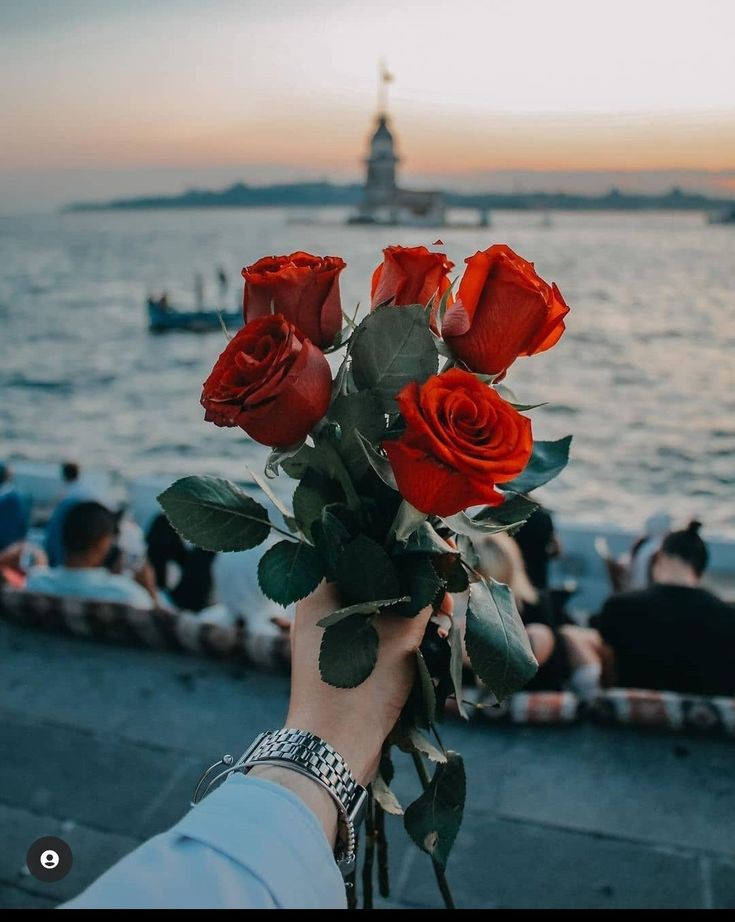 ���� ���� ������ �� ���� ������