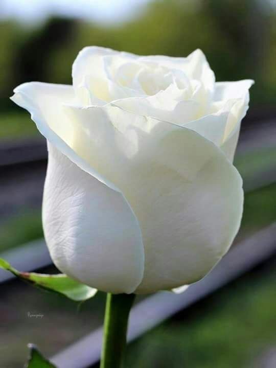 ���� ���� ������ �� ���� ������