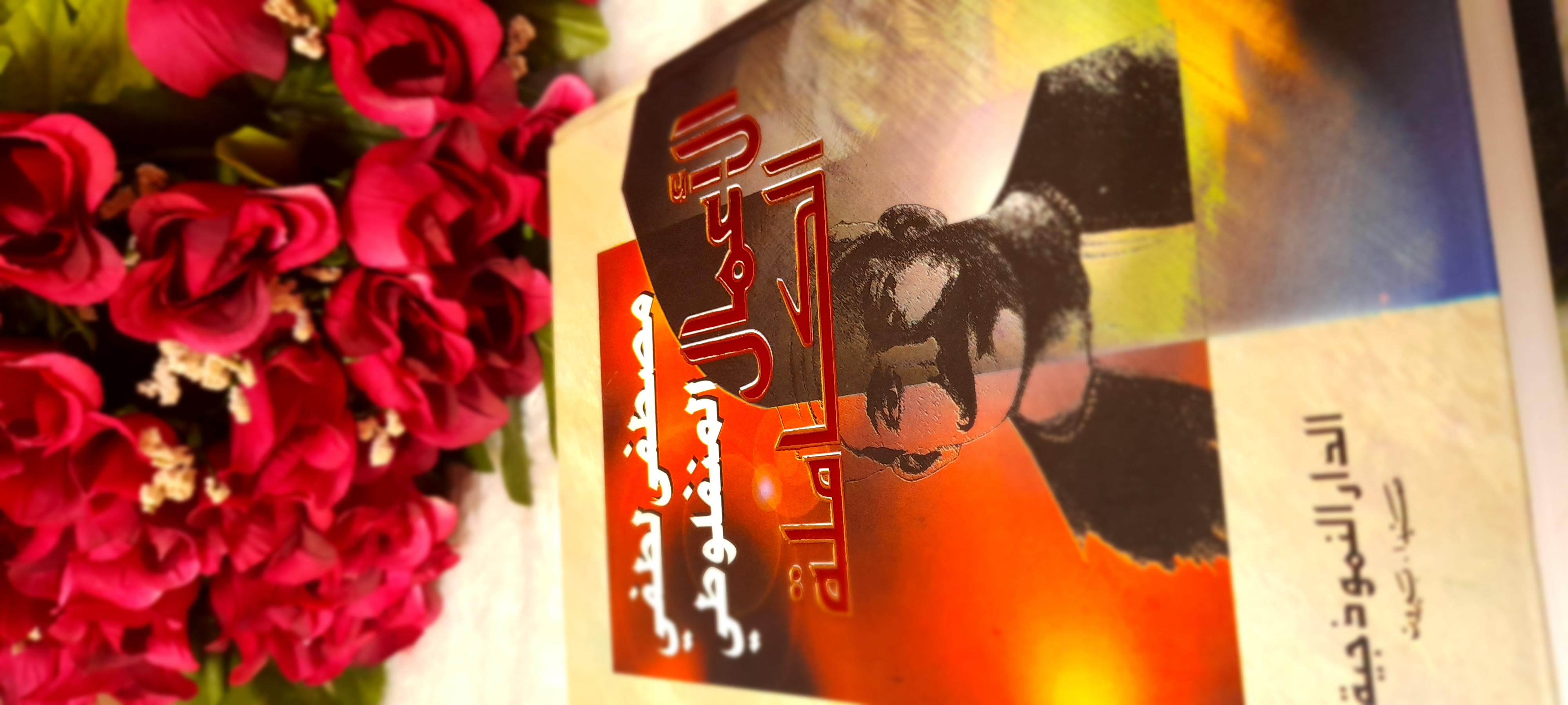 ���� ���� ������ �� ���� ������