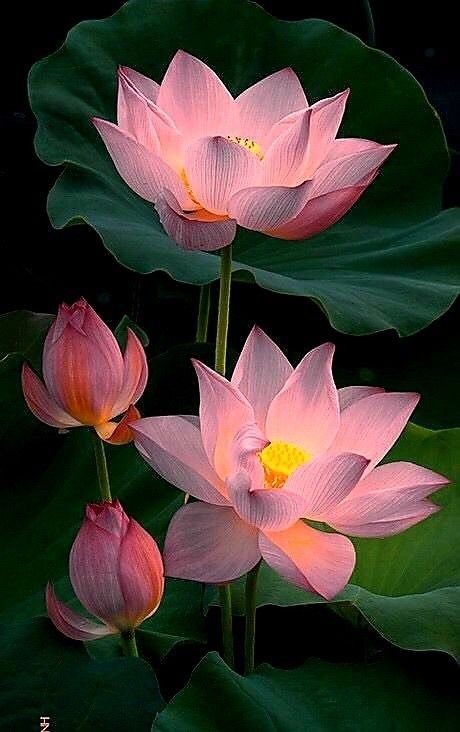 ���� ���� ������ �� ���� ������