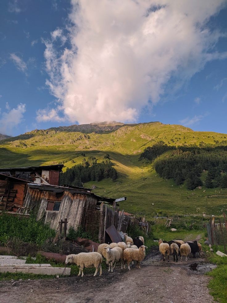 ���� ���� ������ �� ���� ������