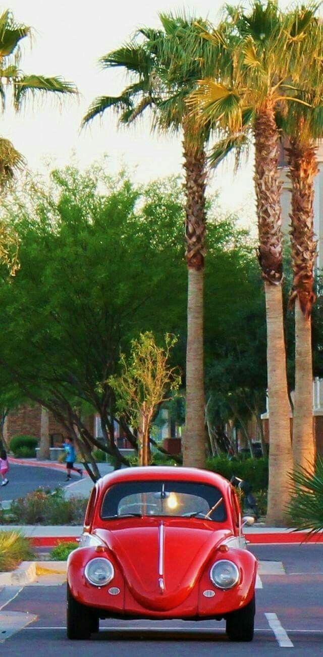 ���� ���� ������ �� ���� ������