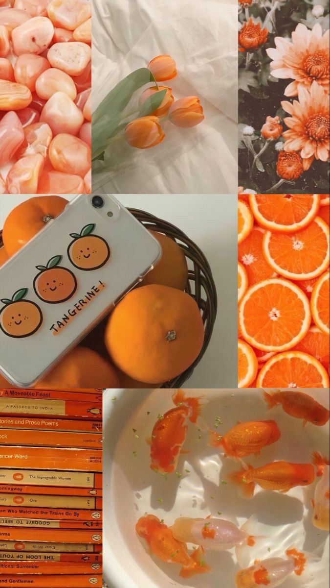 ���� ���� ������ �� ���� ������