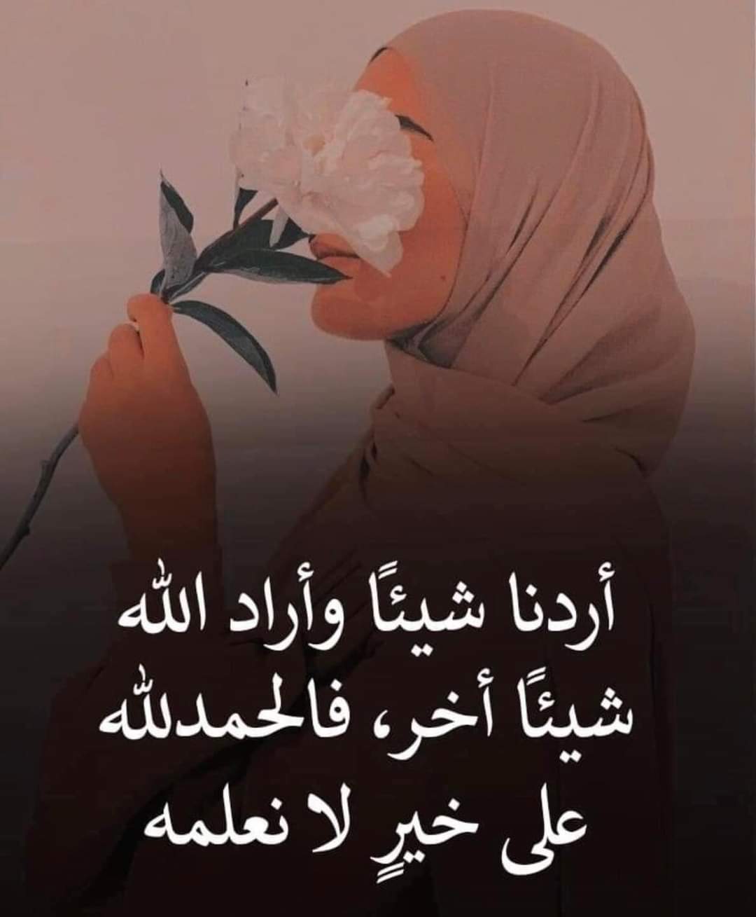 ���� ���� ������ �� ���� ������