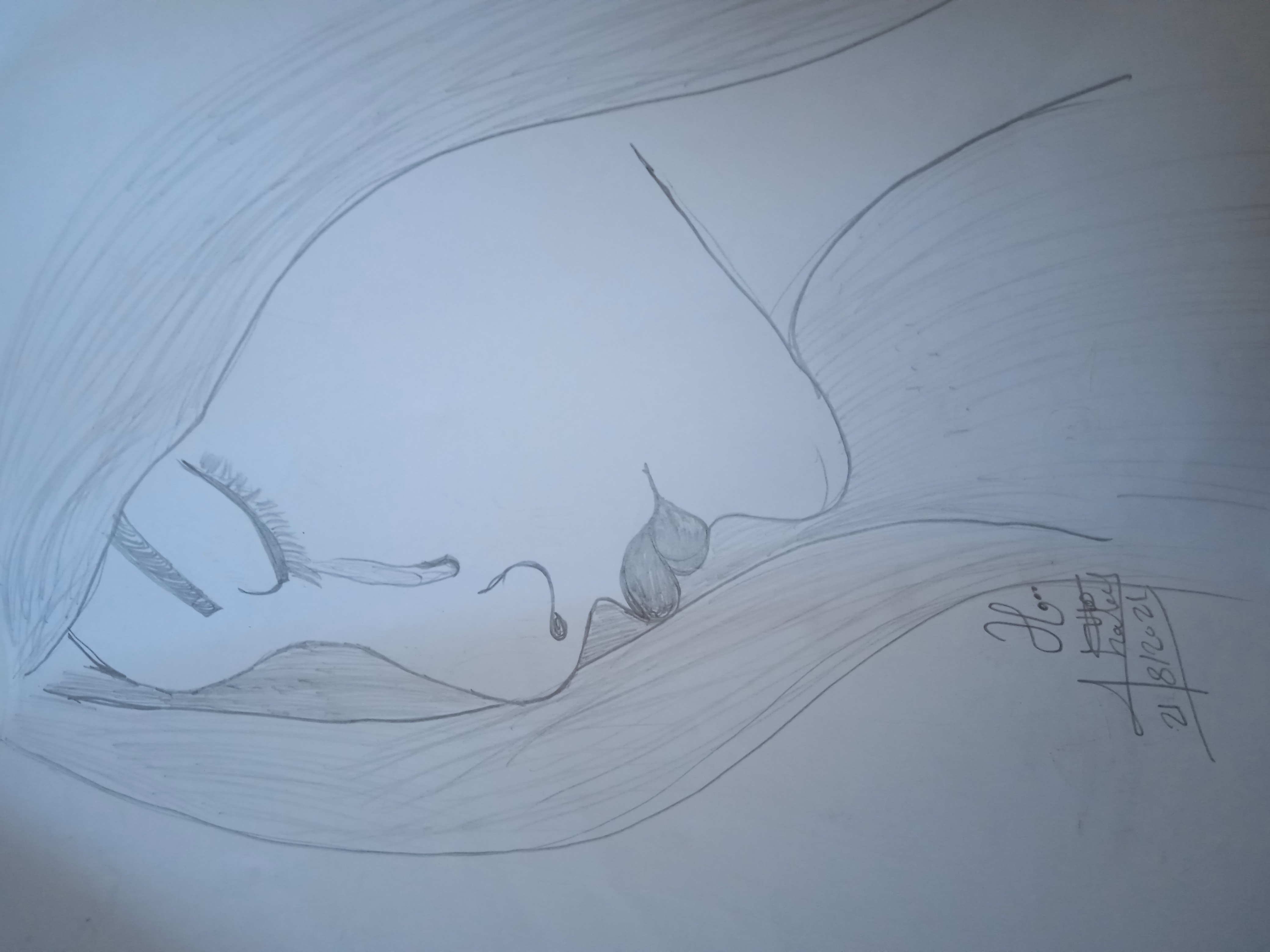 ���� ���� ������ �� ���� ������