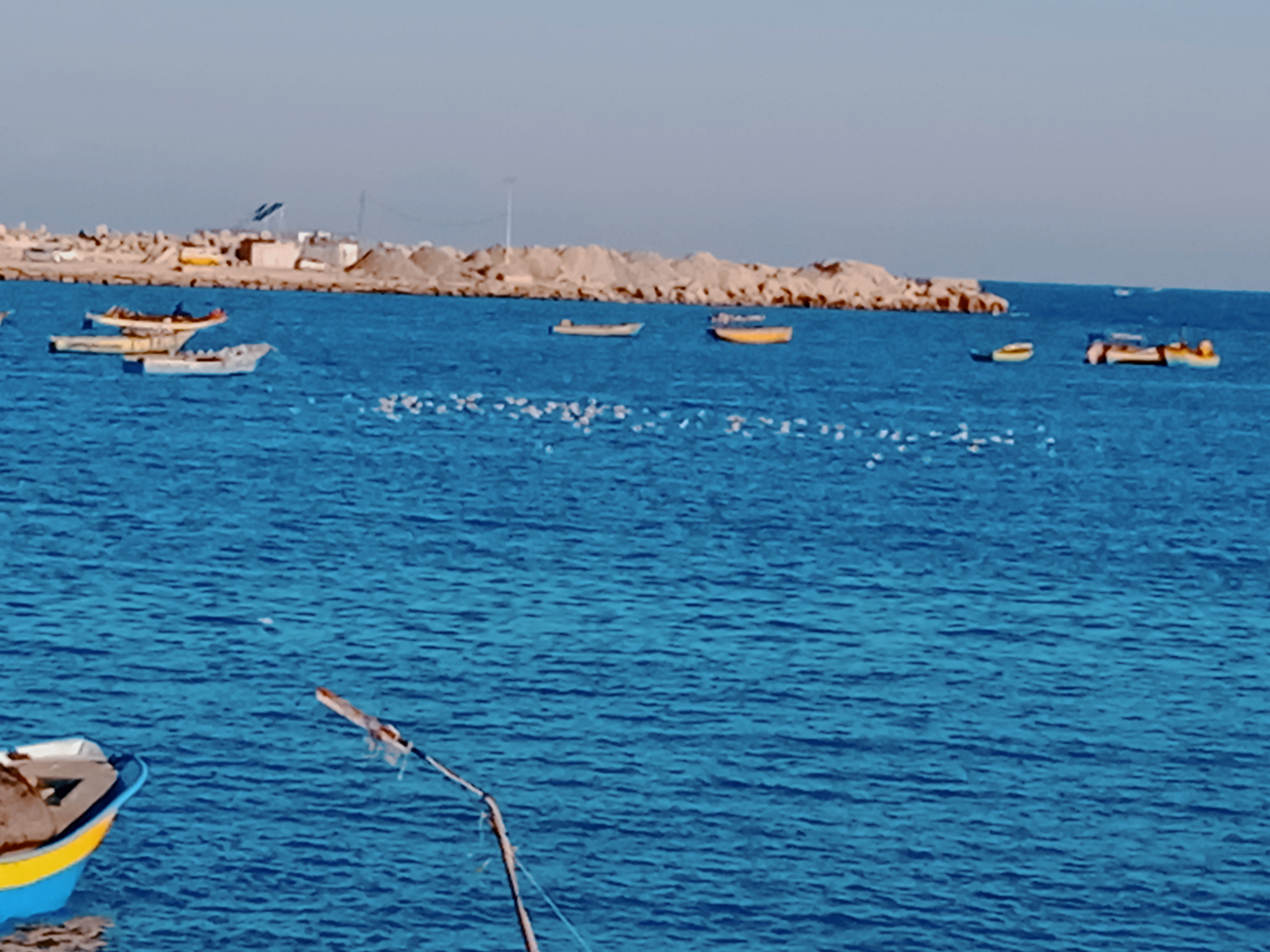 نقره لعرض الصورة في صفحة مستقلة