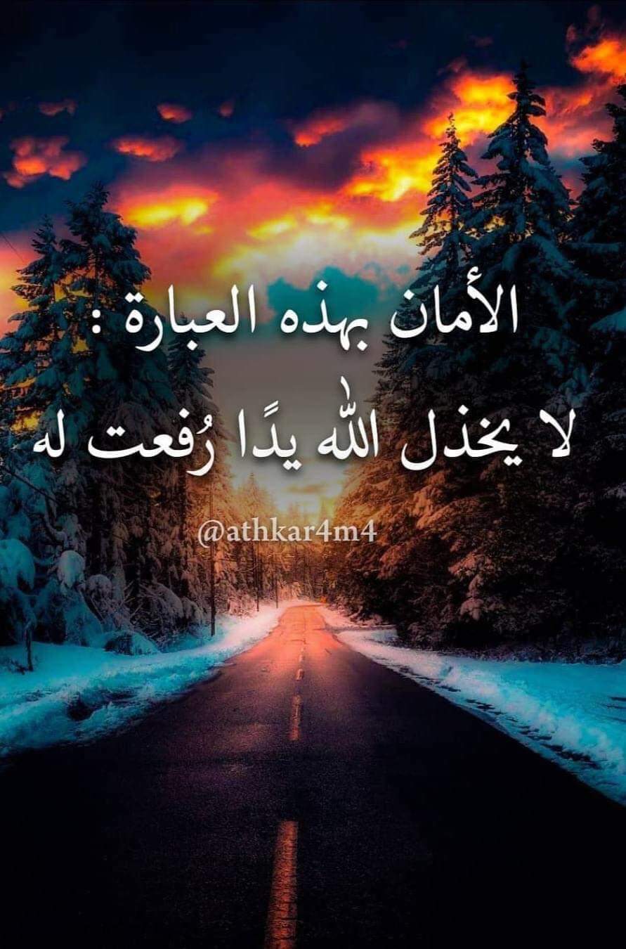 ���� ���� ������ �� ���� ������