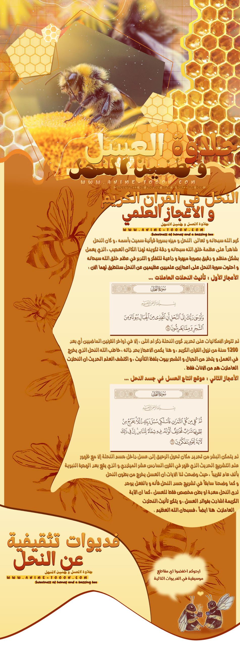p_3470co81a6.png