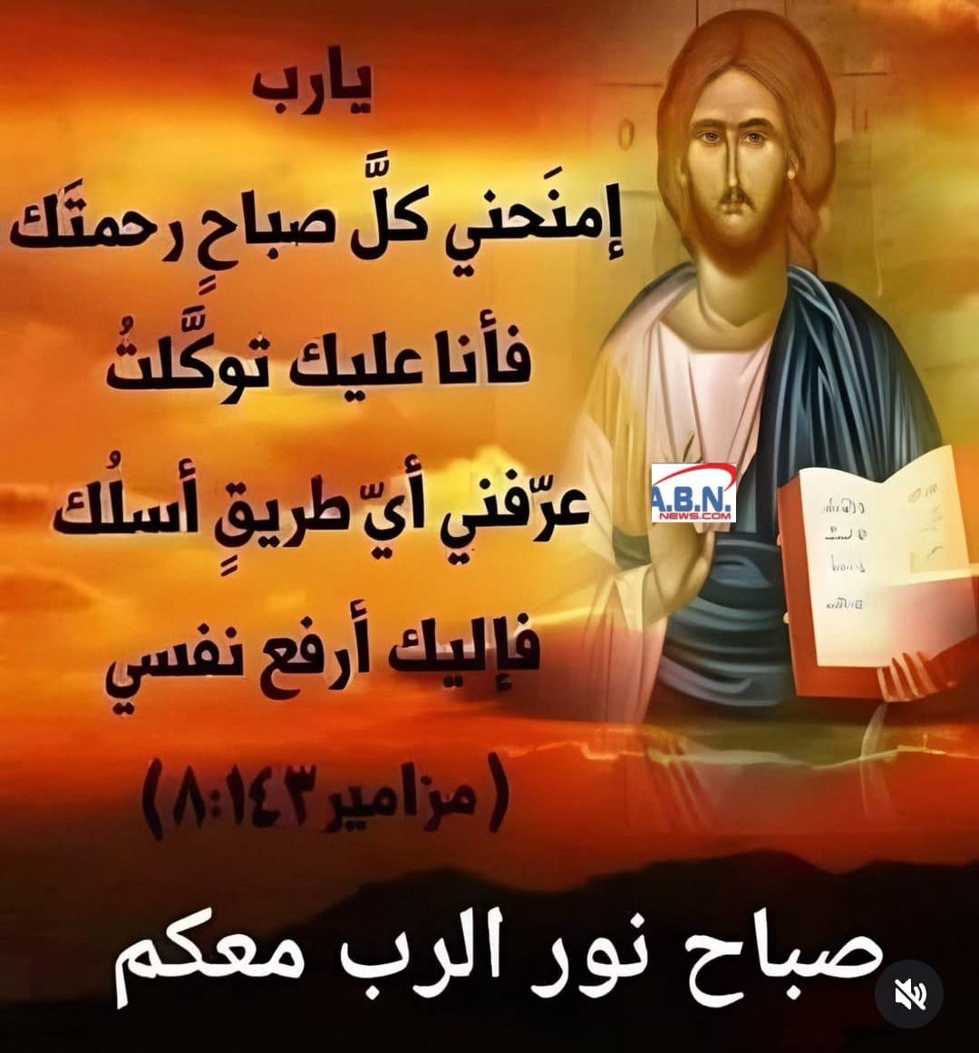 p_3479t53tn0.jpg