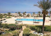 Hijaz Oasis image 9