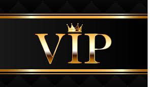 VIP PACKAGE
