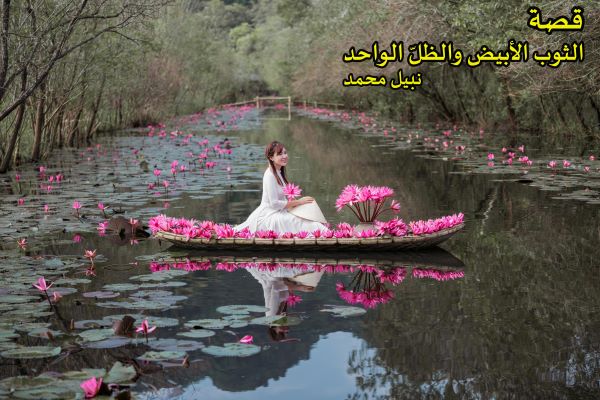 ����� ������ ������ ������