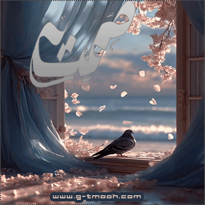 ������ ���� ������ �� ���� ������