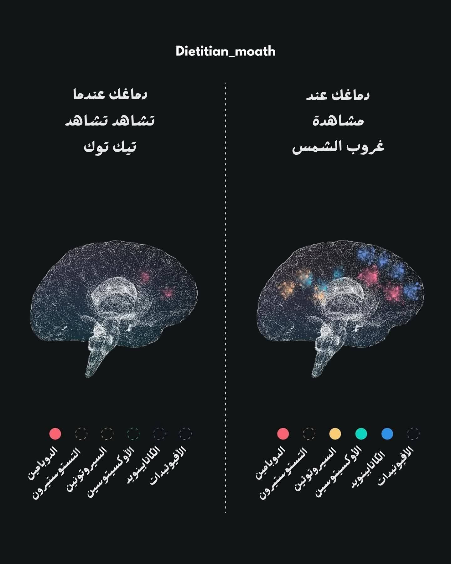 ���� �� ����� ������� 