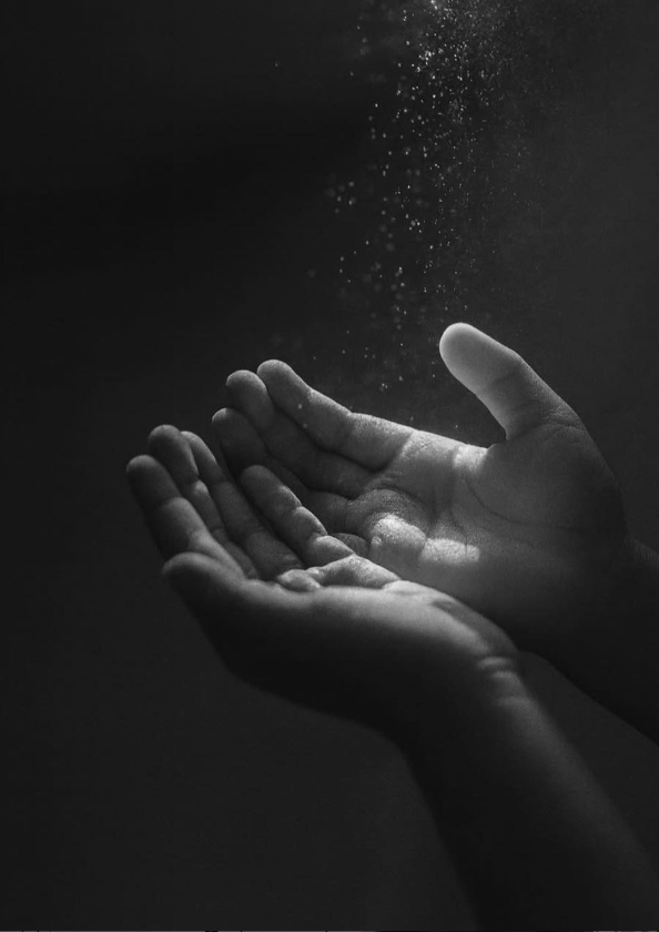 ������ ���� ������ �� ���� ������