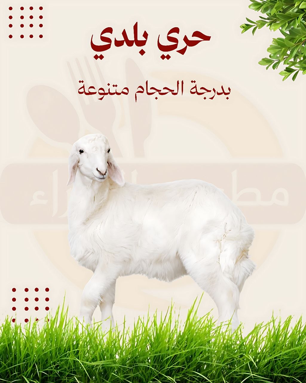 حري بلدي