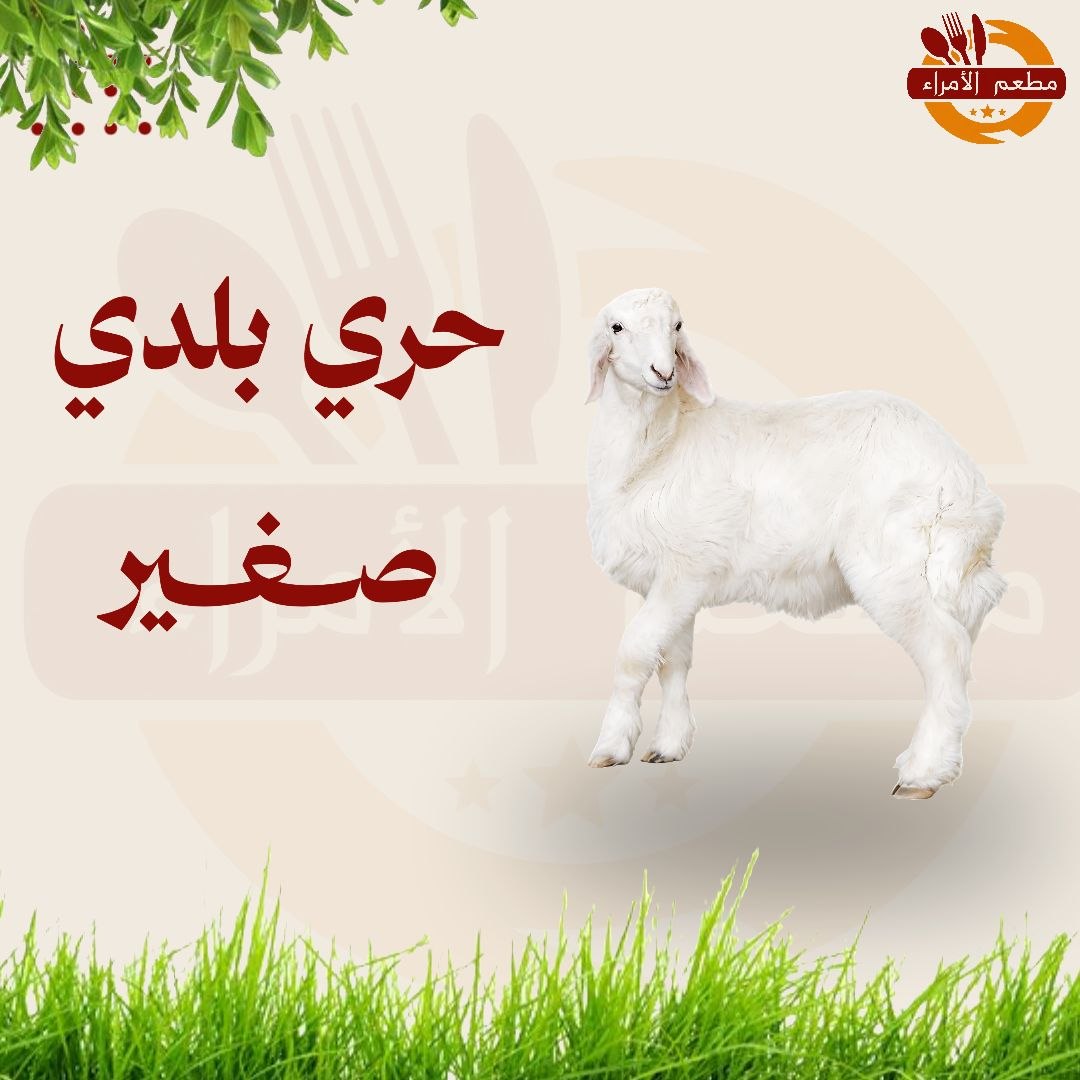 حري بلدي صغير